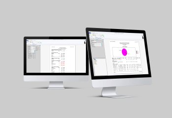 Year End Reports 2025